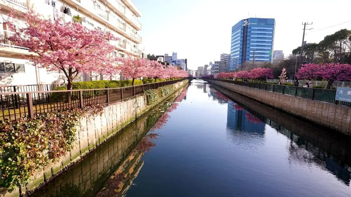 🏞️ 타치바나 공원 이미지 8